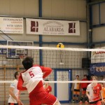 M.odbojka D liga : Sloga Tabor - Travesio