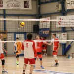 M.odbojka D liga : Sloga Tabor - Travesio