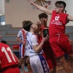 Košarka u 14 : Kontovel - Terzo