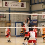 M.odbojka D liga : Sloga Tabor - Travesio