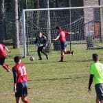 Nogomet 2.AL : Primorec  - Gradisca