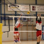 M.odbojka D liga : Sloga Tabor - Travesio
