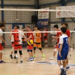M.odbojka D liga : Sloga Tabor - Travesio