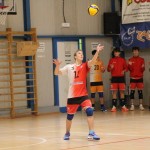 M.odbojka D liga : Sloga Tabor - Travesio