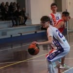 Košarka u 14 : Kontovel - Terzo