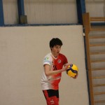 M.odbojka D liga : Sloga Tabor - Travesio