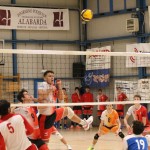 M.odbojka D liga : Sloga Tabor - Travesio