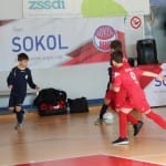 Nogomet : Turnir ZSŠDI U 9