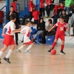 Turnir u11 ZSŠDI
