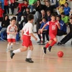 Turnir u11 ZSŠDI