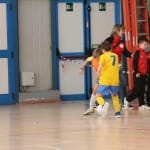 Turnir u11 ZSŠDI
