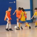 Turnir u11 ZSŠDI