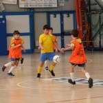 Turnir u11 ZSŠDI