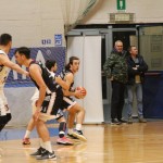 Košarka meddeželna B l. : Jadran Gostol : Padova