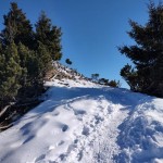 Planinski odsek SK Devin: Kriška gora in Tolsti vrh