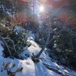 Planinski odsek SK Devin: Kriška gora in Tolsti vrh
