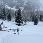 Planinski odsek SK Devin do izvira reke Piave