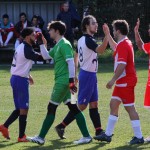 2. Al: Primorec - Zarja