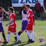 2. Al: Primorec - Zarja