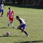 2. Al: Primorec - Zarja