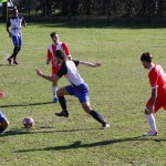 2. Al: Primorec - Zarja