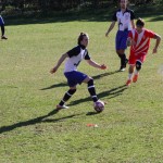 2. Al: Primorec - Zarja