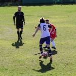 2. Al: Primorec - Zarja