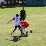 2. Al: Primorec - Zarja