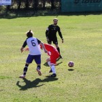 2. Al: Primorec - Zarja