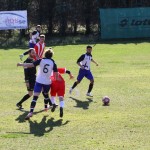 2. Al: Primorec - Zarja