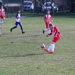 2. Al: Primorec - Zarja