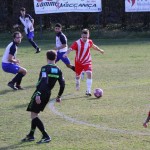 2. Al: Primorec - Zarja