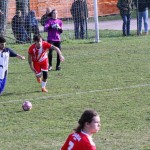 2. Al: Primorec - Zarja