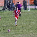 2. Al: Primorec - Zarja