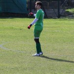 2. Al: Primorec - Zarja