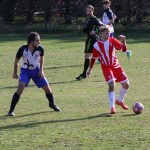 2. Al: Primorec - Zarja