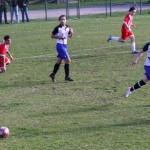 2. Al: Primorec - Zarja