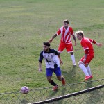 2. Al: Primorec - Zarja