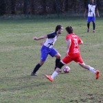 2. Al: Primorec - Zarja