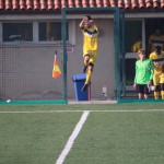 Nogomet 1.AL : Opicina - Sovodnje