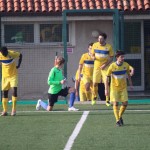 Nogomet 1.AL : Opicina - Sovodnje