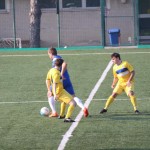 Nogomet 1.AL : Opicina - Sovodnje