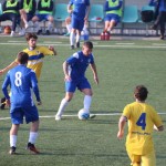 Nogomet 1.AL : Opicina - Sovodnje