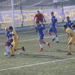 Nogomet 1.AL : Opicina - Sovodnje