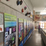 Gorica: dijakom predstavili slovenski šport v Italiji