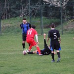 Nogomet 2 AL : Primorec - Montebello D.B.