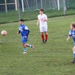 Nogomet deželni U 19 : Kras Repen . Ancona
