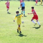 Nogomet U 16 : Zarja Breg - Fiumcello