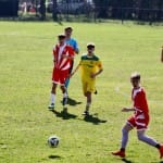 Nogomet U 16 : Zarja Breg - Fiumcello