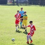 Nogomet U 16 : Zarja Breg - Fiumcello